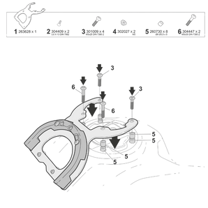 Shad Fijacion Click System (C012CS)