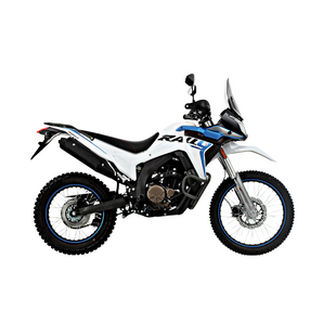 Moto Voge 300 Rally
