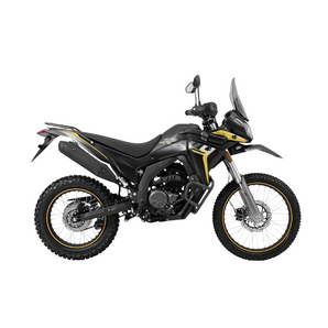 Moto Voge 300 Rally