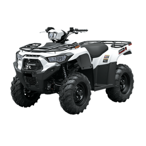 Moto Kawasaki Brute Force 450
